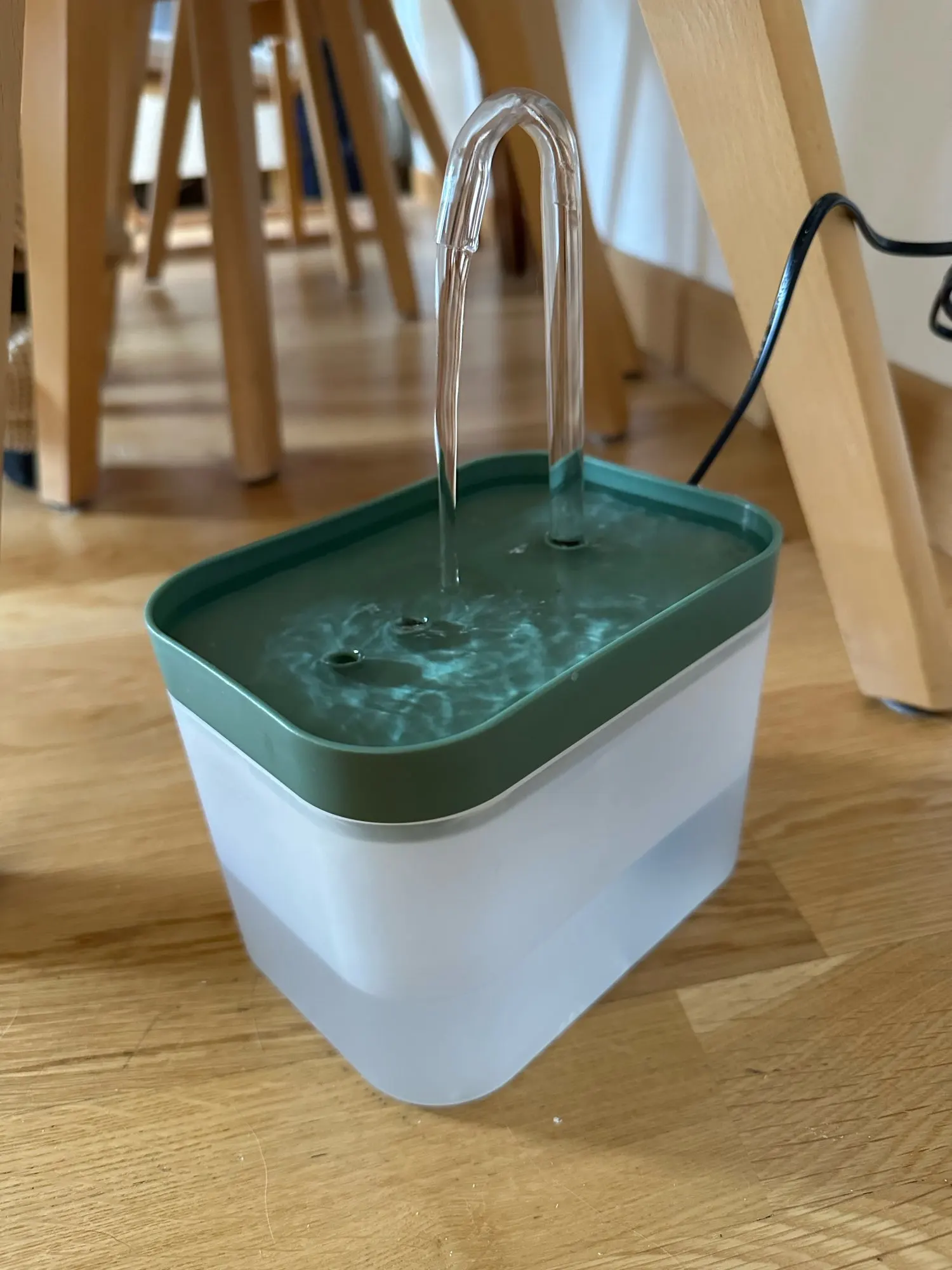 1.5L Ultra-Quiet Cat Water Fountain Filter Smart Automatic Pet Dog Water Dispenser&Burnout Prevention Pump Recirculate Filtrin photo review