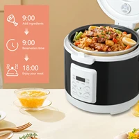 Cuiseur à riz 3L 12V 24V 220V 2L à trois tensions pour voiture et maison, cuiseur à riz pour camionnette et voiture, idéal pour les voyages, utilisation mondiale 2