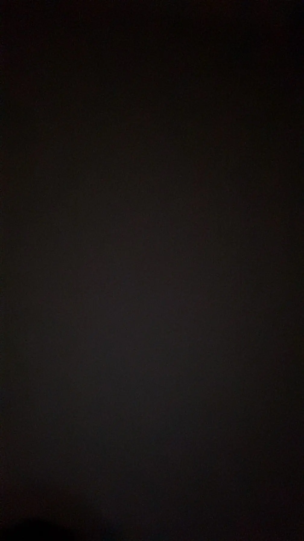 Women’s High-Waist Pleated Belted Skort photo review