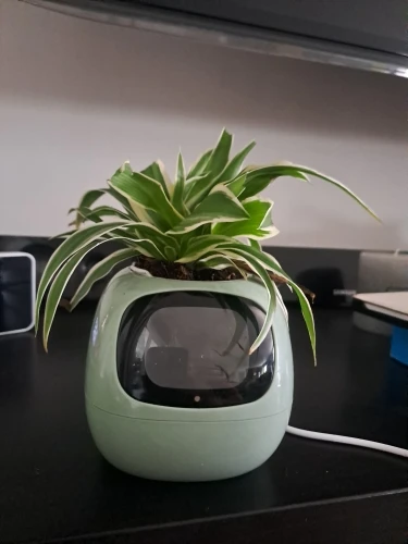 User picture
