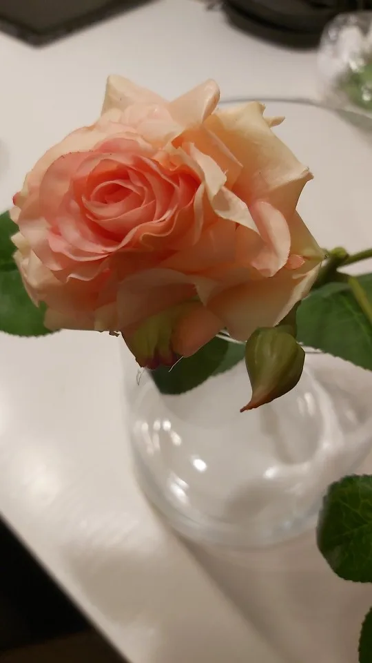 High Quality Hand Feel Moisturizing Artificial Rose MG photo review