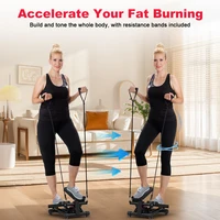 Mini Stepper for Exercise Low-Impact Stair Step Cardio Equipment with Resistance Bands Optional Twist Motion Stepper