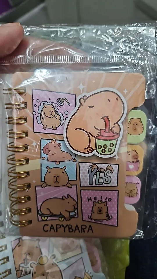 Capybara Notebook Collection photo review