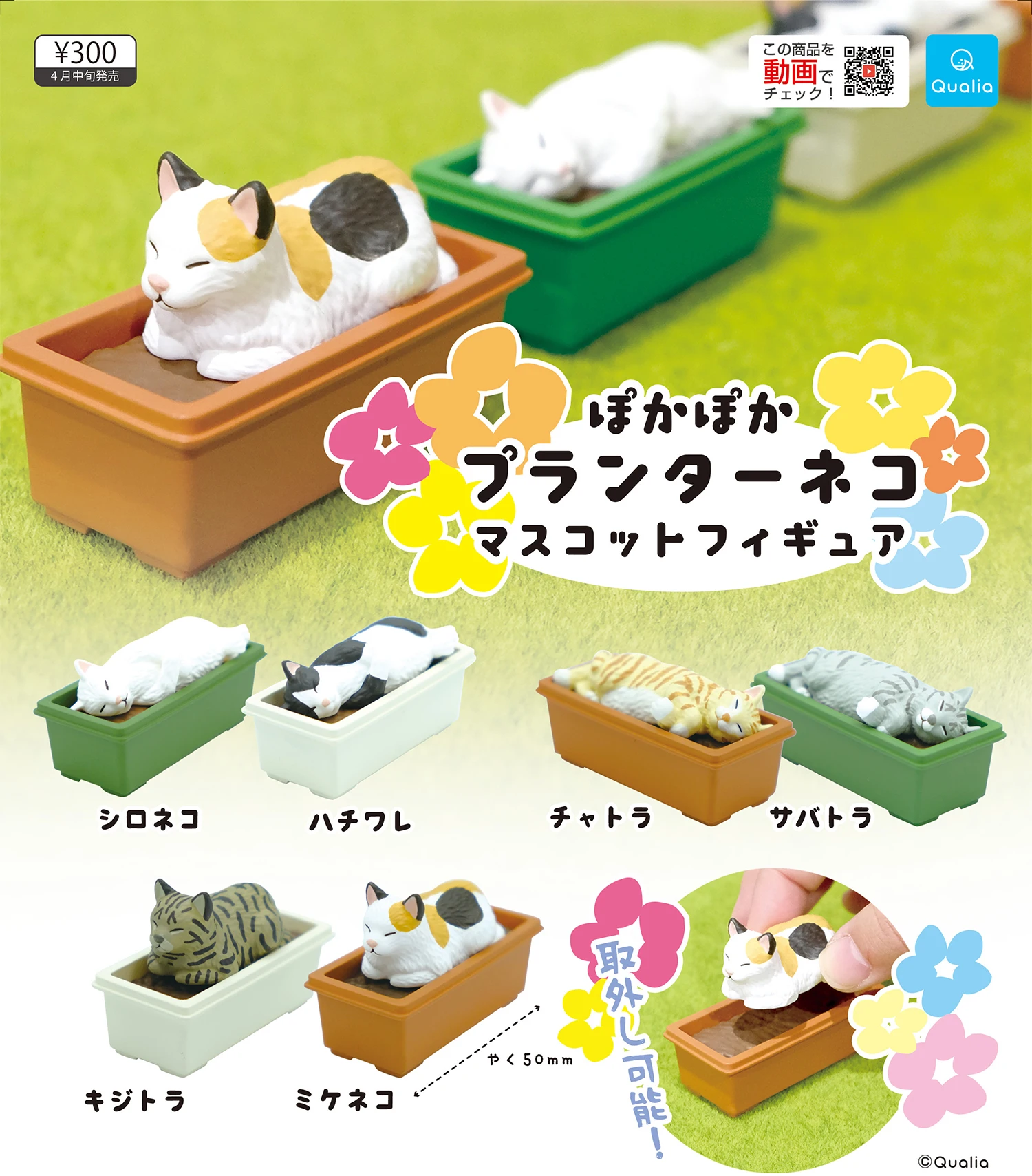 Qualia Original Gashapon Toys Carino Kawaii Poka Poka Fioriera Cat Calico Neko Bianco Nero Pelo Corto Gatto Mascotte Figura Capsula