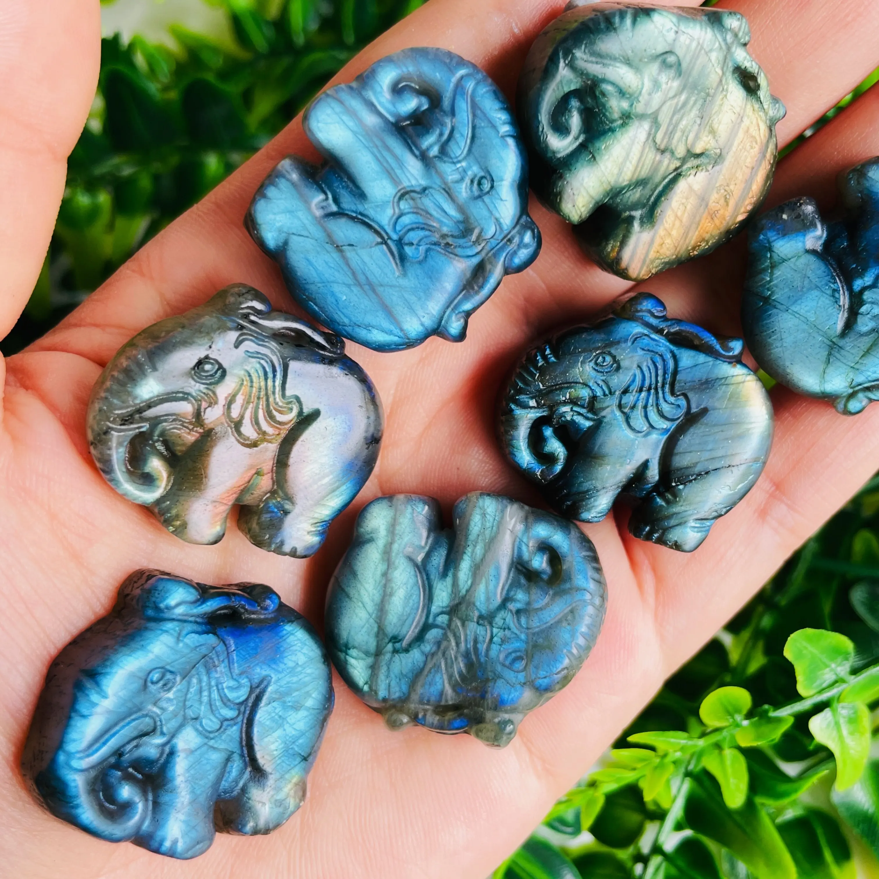 RadiantLabrumeniteElephantCarmiseenuvreSymdangersspirituelsde