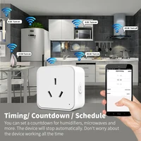 SIXWGH Zigbee Smart Socket AU Plug Adapter Tuya Smart Life App Wireless Control Timing Power Monitoring Function Aleax Outlet - Image 5