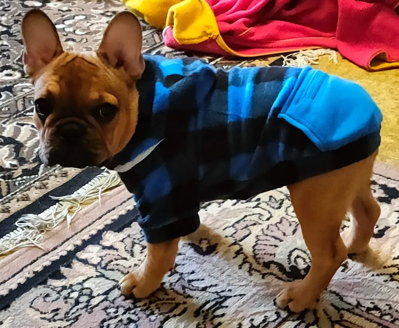 Stylish Hoodie - With Convenient Pockets For Dogs photo review