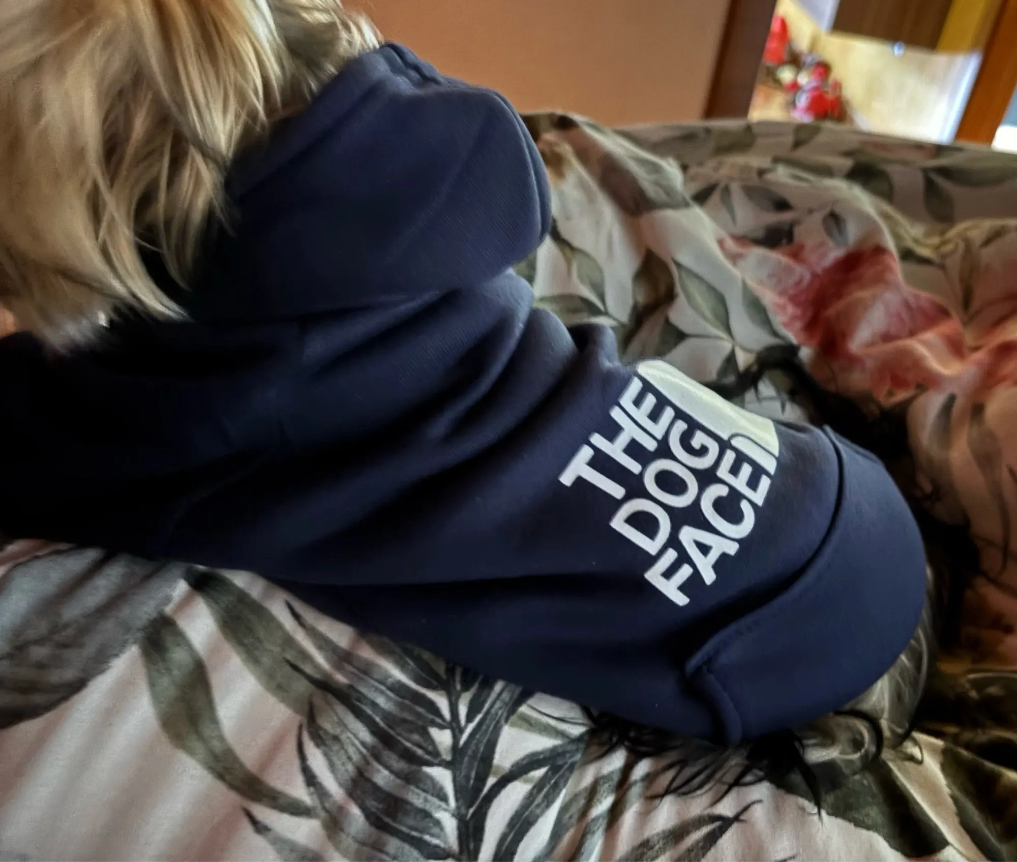 Suéter de otoño e invierno con bolsillo de vaquero, ropa de dos patas, ropa deportiva para mascotas, suministros de ropa para perros y gatos photo review