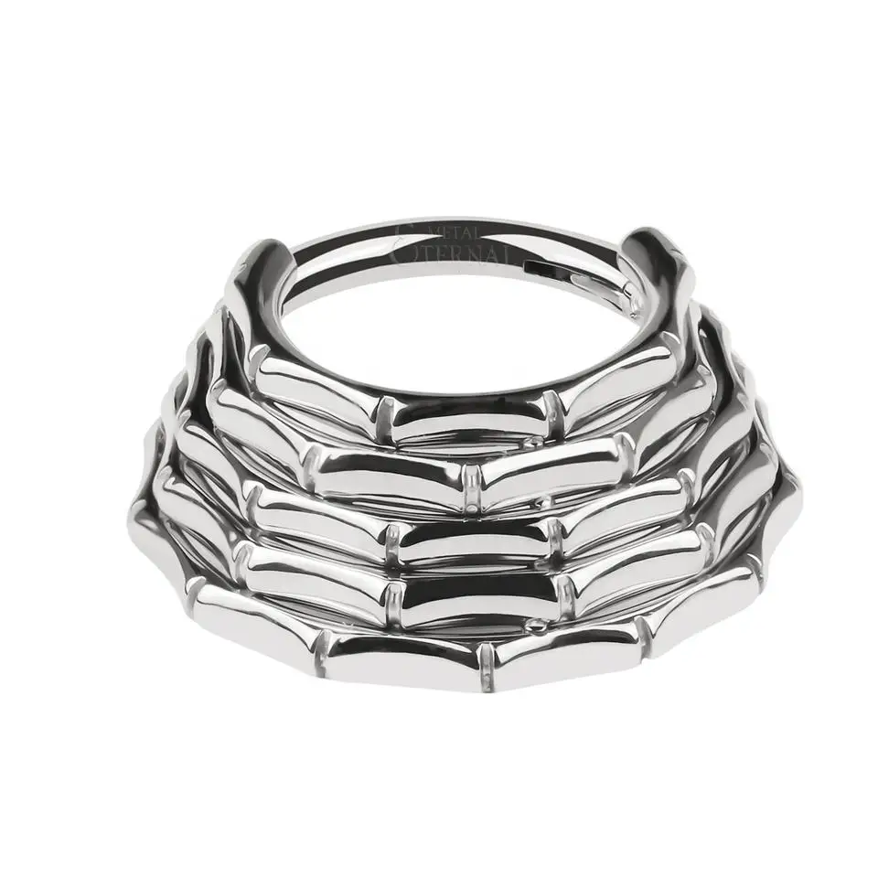 Nose Rings Hinged Segment Ring Hinged Segment Ring Titanium