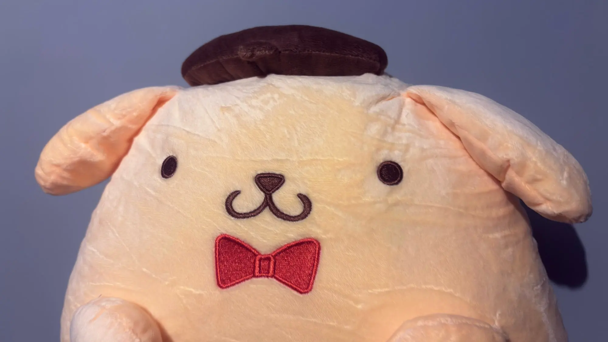Chonky Purin Plushie photo review
