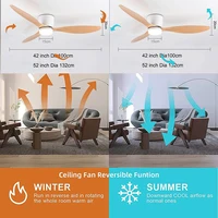 Modern Led Ceiling Fan Without Lights DC Motor 6 Speeds Timing Fans 20CM Low Floor Loft Remote Control Lux&vitae Fan With Lights 2
