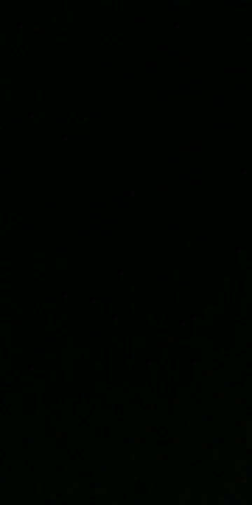 R36 ULTRA photo review