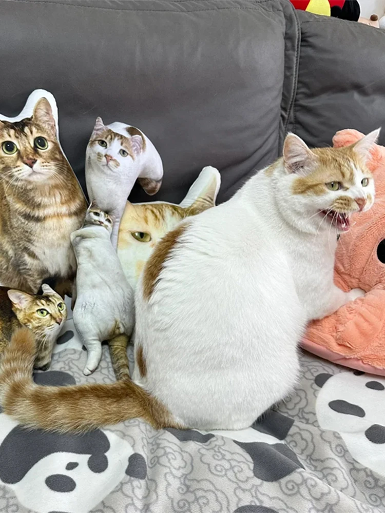 Photo Customization Pet-Shape Pillow With White Edge Personalized Cushions For Pet Friend Turn Pet Into 3D Pillow Sofa Car Decor 4