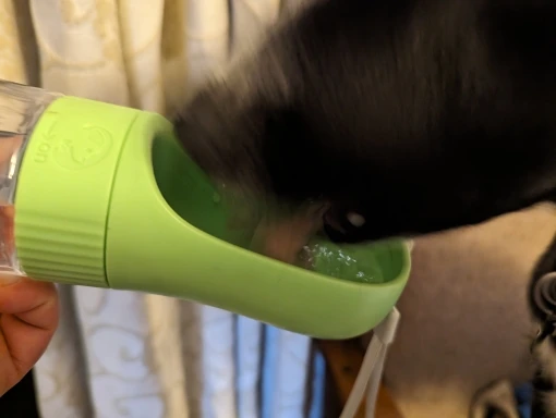 Hydro Paws, Portable 2-in-1 Water Bottle & Bowl for Happy Pets on the Go photo review