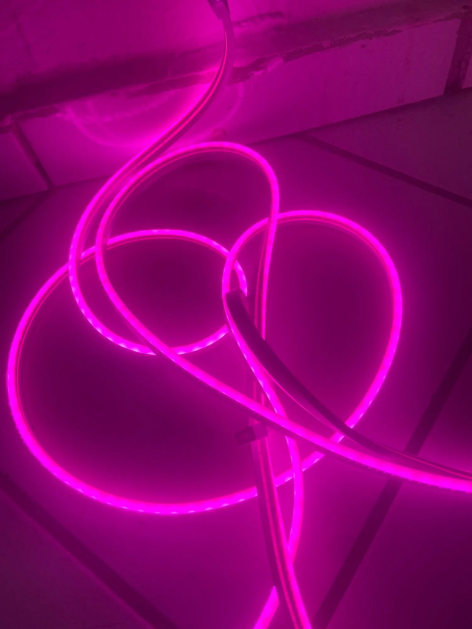5m Mangueira Led Neon Corte 2,5cm Flex 12v + Fonte Bivolt photo review