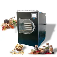 Vacuum Fruit Freeze Drying Dried Machines Mini Vegetables Lyophilizer Food Freezer Dryer 1