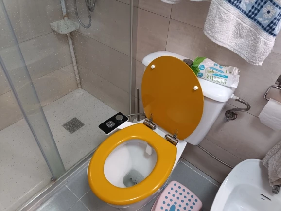 Ultra-Thin Bidet Seat Attachment: Non-Electric, Self-Cleaning, Dual Nozzles for Frontal & Rear Wash, Cold Water Hygiene photo review