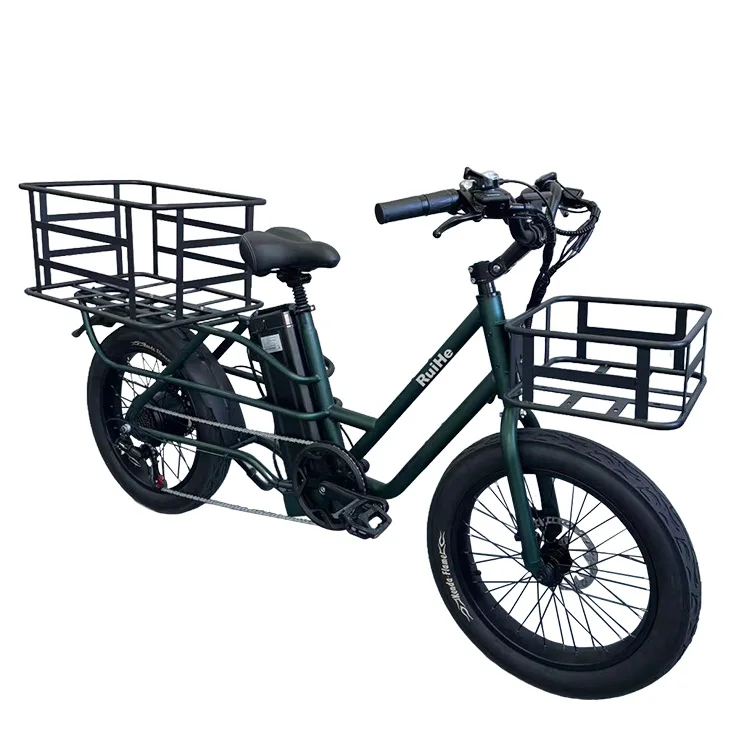 Adina K750 20X3.0 gros pneu Cargo 750W 48V 20AH vélo électrique 20 pouces vélo électrique gros cargo nouveau Design gros pneu vélo électrique