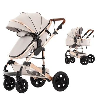 2-in-1 Baby Stroller 1