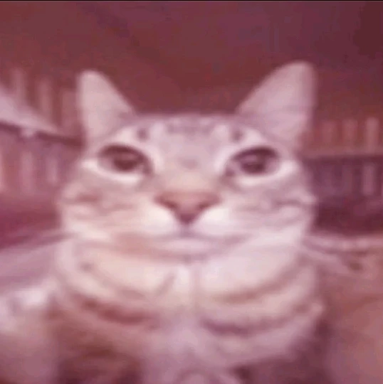 Kawaii Dress Set Collection - Coquette Aesthetic photo review