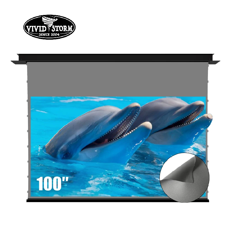 Vividstorm 100 Pollici Phantom Nascosto Nel-Soffitto Elettrico Drop Down Home Movie Curtain Schermi Per Proiettori In Ossidiana