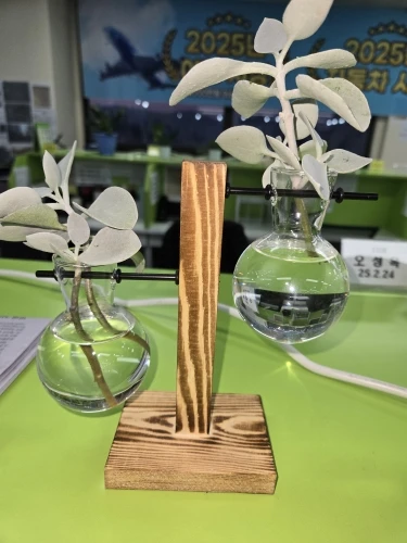 Hydroponic Plant Terrarium Vase photo review