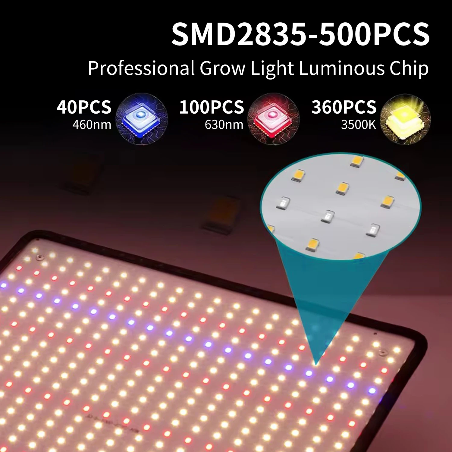 Panel svetla Quantum board