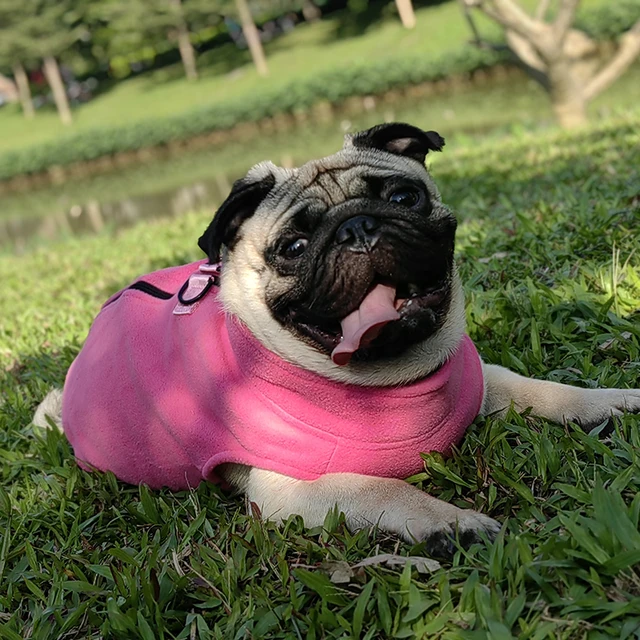 Fleece Dog Clothes For Small Medium Dogs Winter Warm Puppy Clothing French Bulldog Coat Pug Costume Poodle Jacket Chihuahua Vest 2