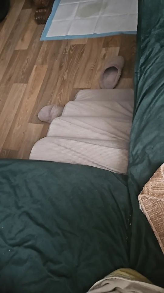 Washable Dog Stairs with Removable Cover - for Small, Senior & Disabled Pets