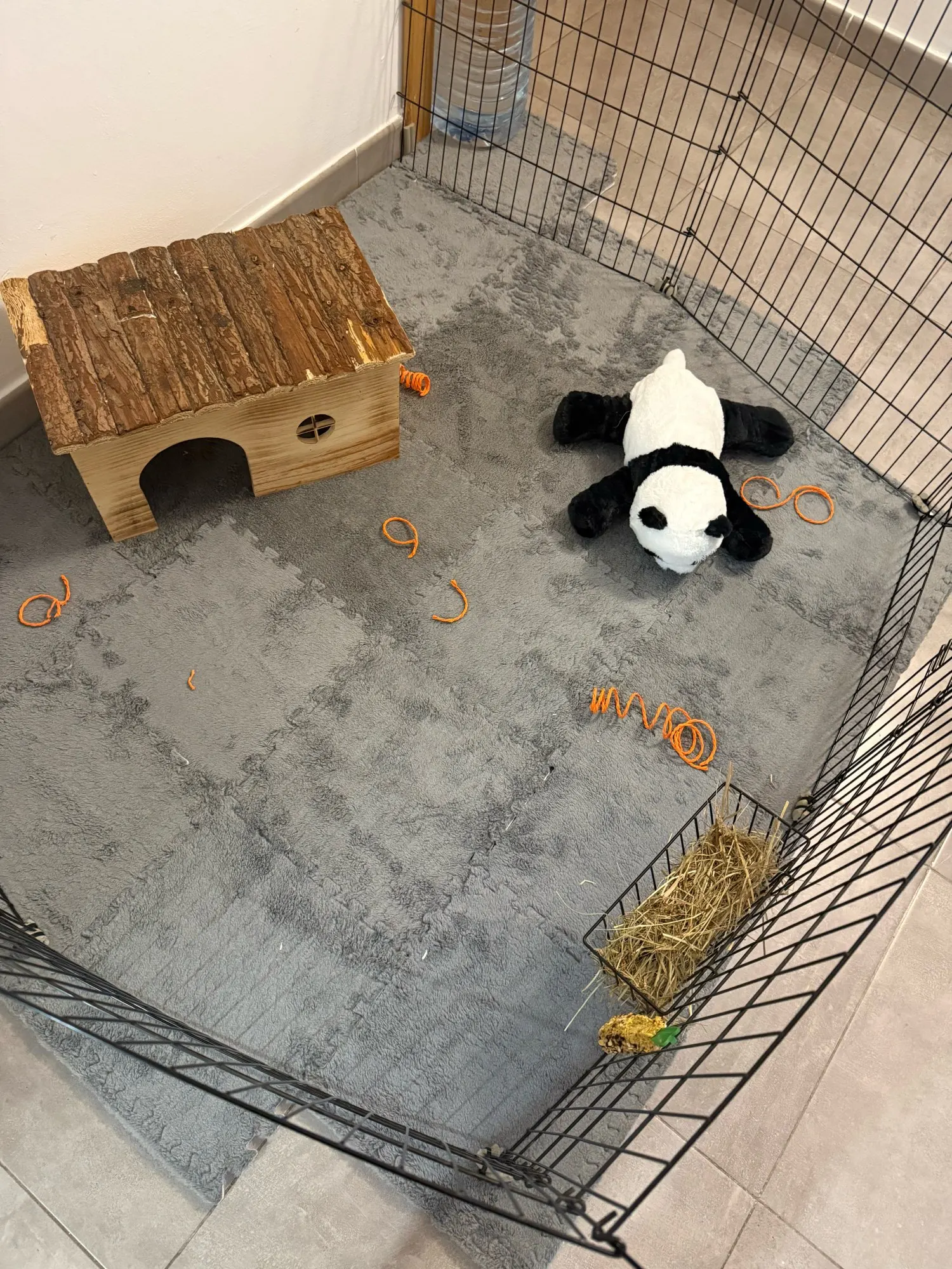 Tapis de couchage pour Lapin photo review