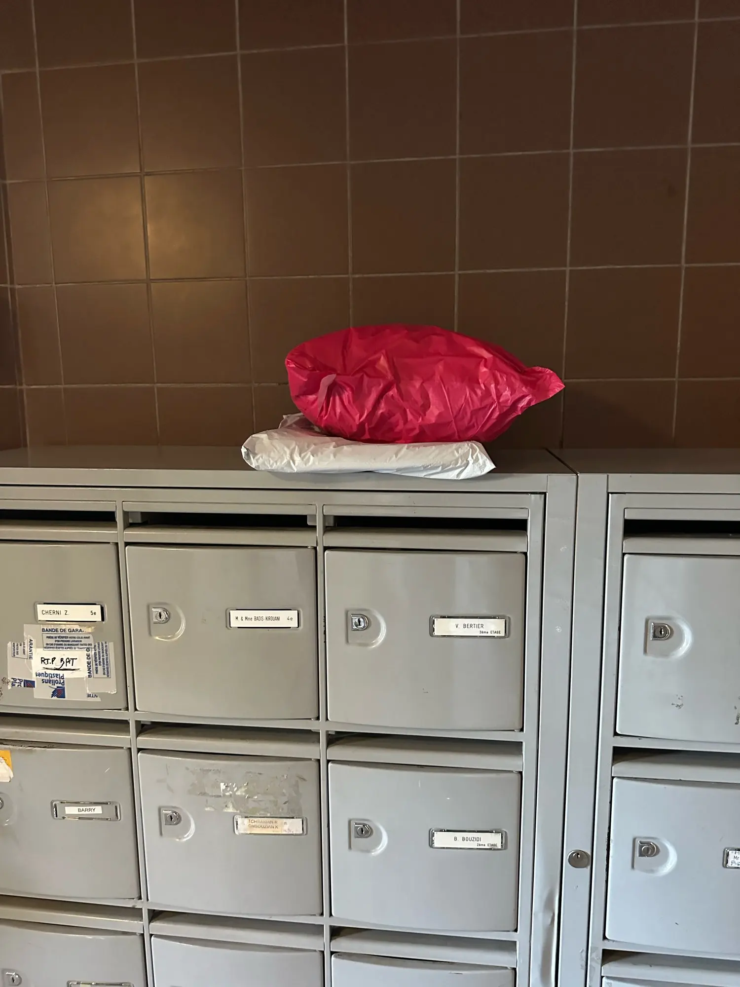 Comfy Cat Carryall: Transparent Breathable Backpack for Purr-fect Adventures photo review