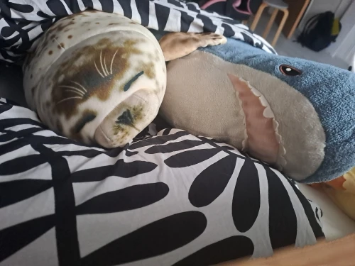 Foquinha Serena Fofeza® de Pelúcia