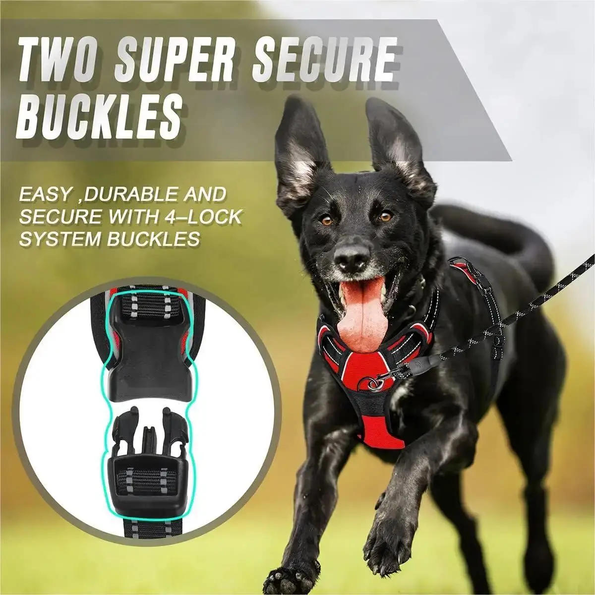 Reflective Front Buckle Dog Harness with Easy-Control Handle