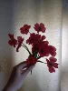 Изображение товара 4