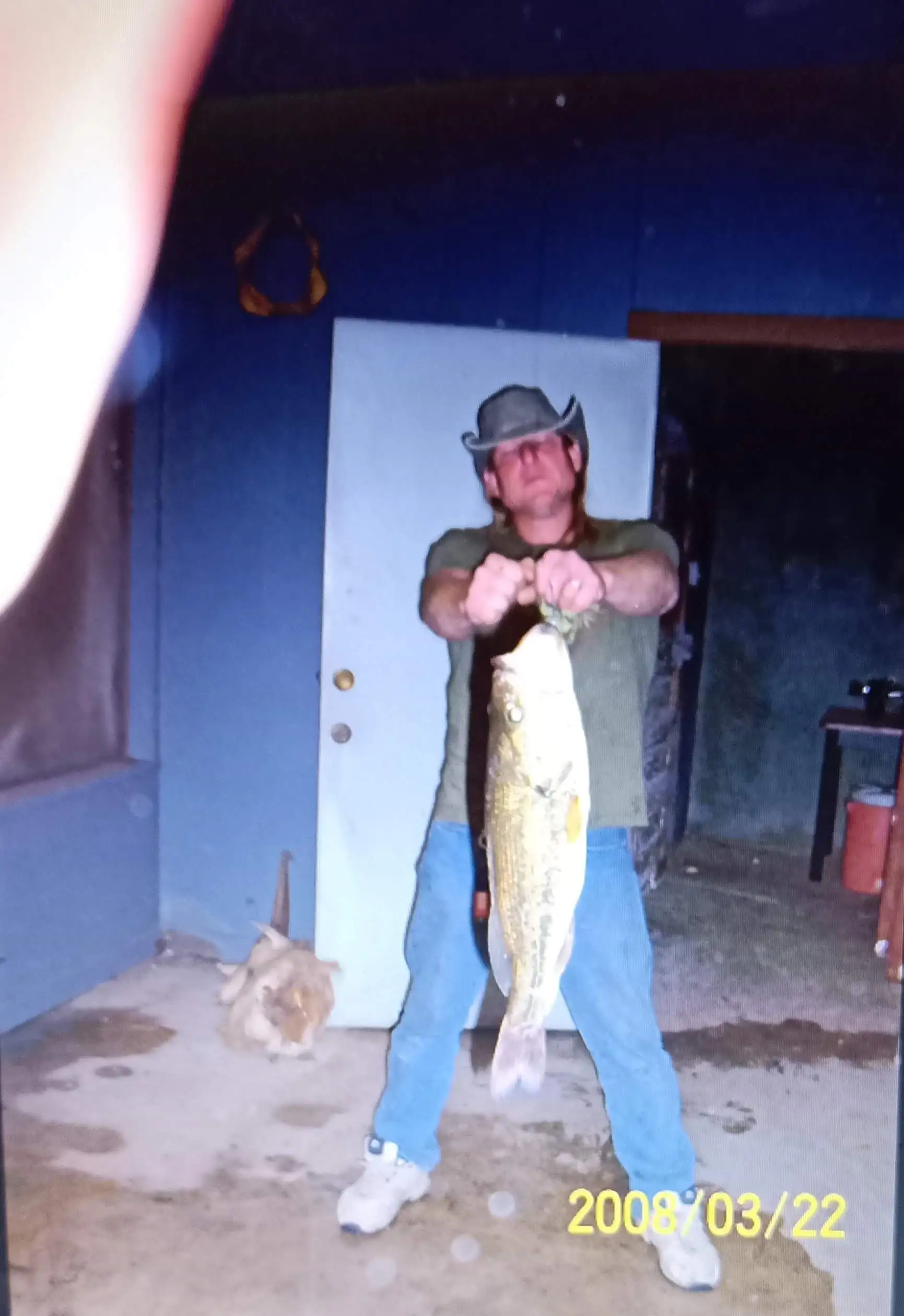 Heavy Duty Fishing Line Sinker Slides Blue Plastic Head Swivel with Duo-lock Nice Snap Fishing Sinker Slider 25pcs photo review