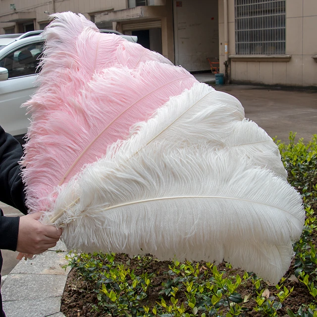 10 Pcs White Black Ostrich Feather for Table Centerpiece Decoration Plume  Real Large Ostrich Feathers Wedding Accessory - AliExpress