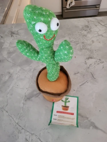 Intelligent Cactus Interactive Learning and Musical Toy for Kids to Dance Record and Speak with Fun photo review