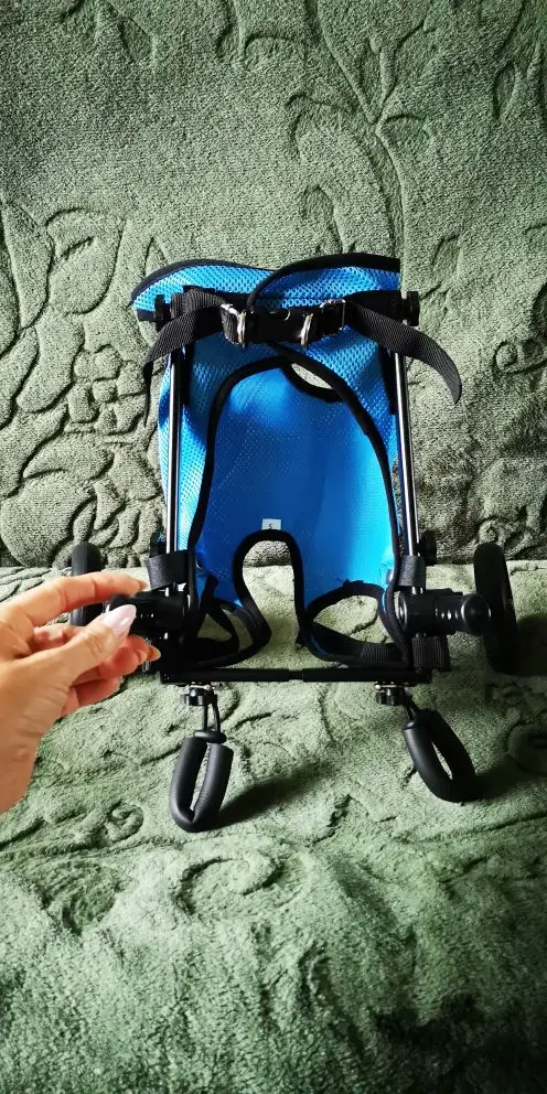 Dog Wheelchair with Breathable Mesh - Hind Leg Support for Disabled Pets