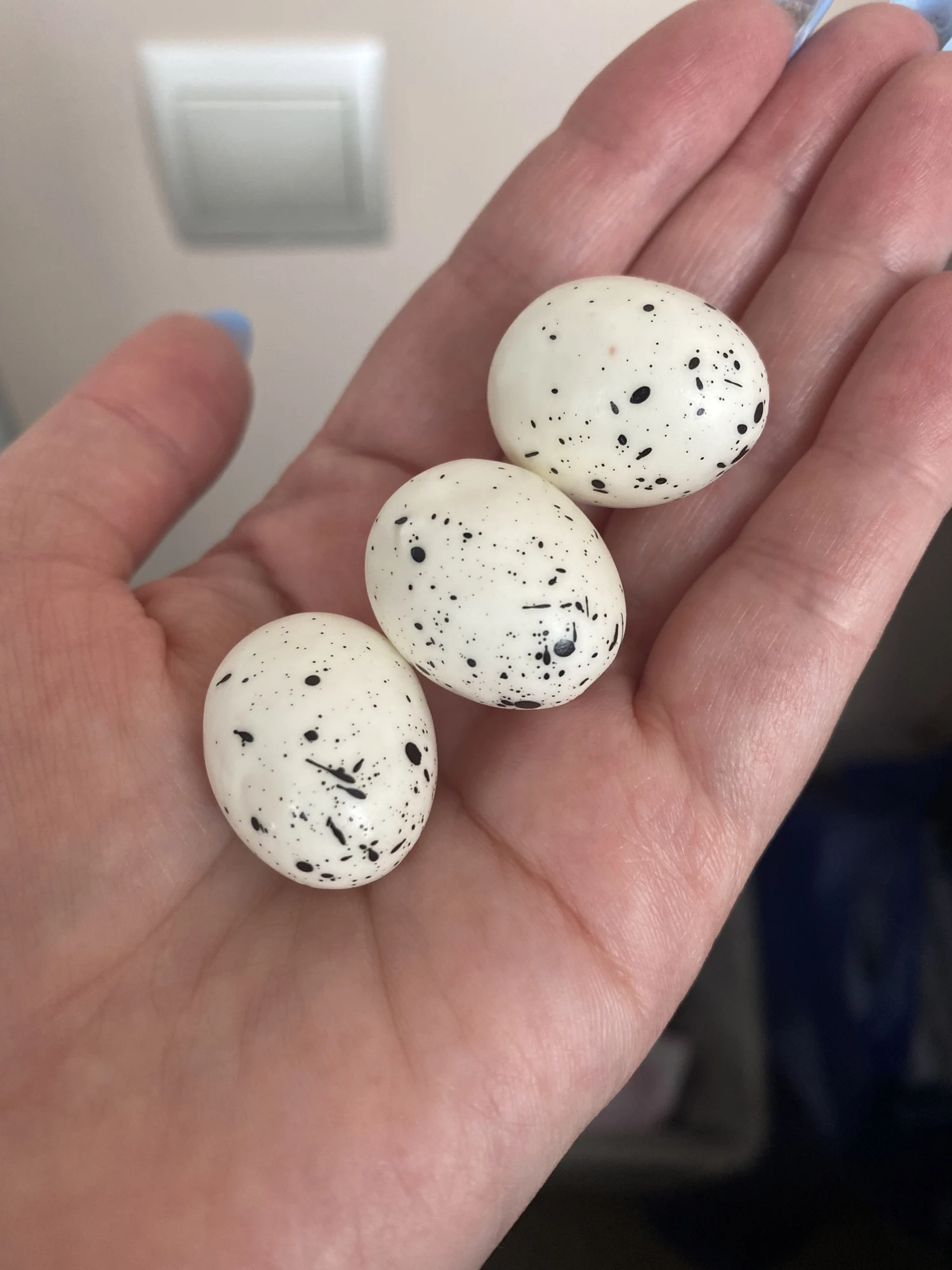 Rustic Roost, Handcrafted Rattan Bird Nest & Egg Decor photo review