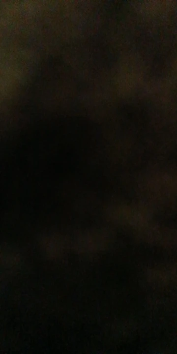 FrostShield Handschuhe – Warm, Wasserdicht & Reflektierend für jedes Winterabenteuer photo review