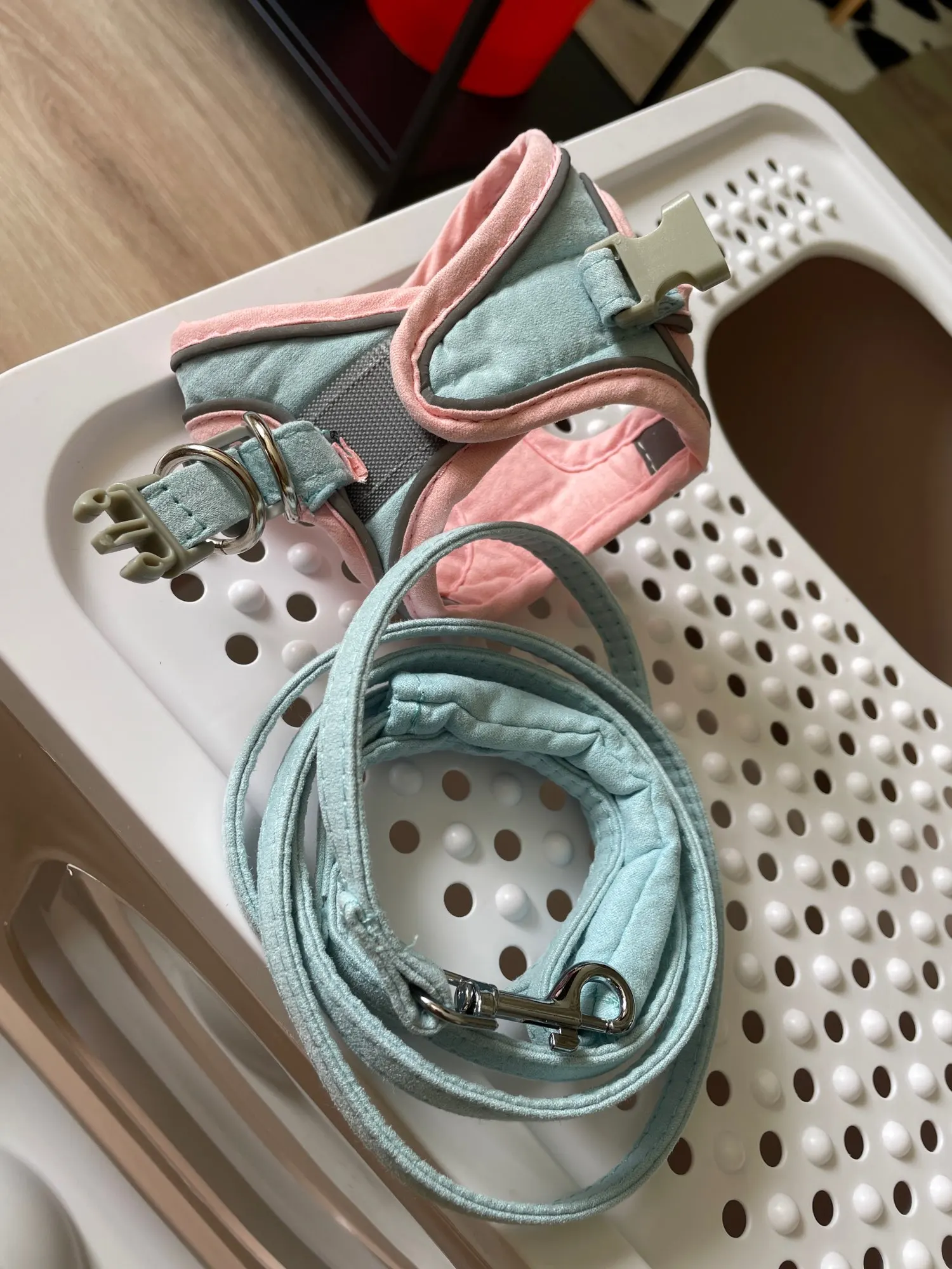 NunaPets Luminous Cat Vest Harness and Leash Set Ceelic