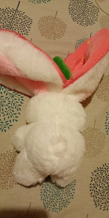Berry Buns, Transforming Strawberry & Carrot Bunny Plush