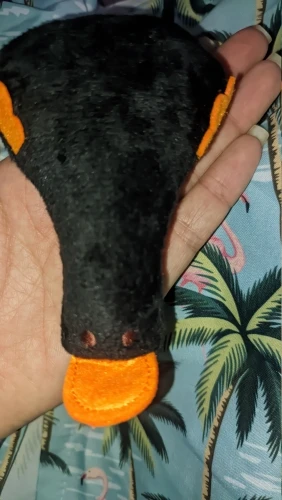 Ducky Delights: Interactive Plush Duck Cat Toy with Catnip for Fun-Filled Playtime photo review