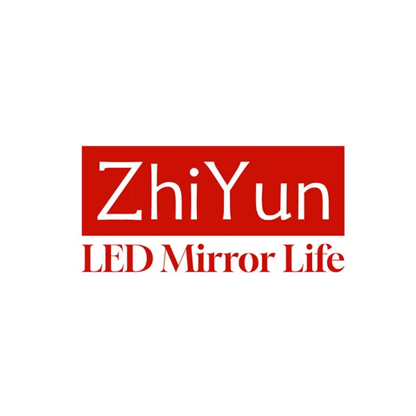 DongGuan Zhiyun Store