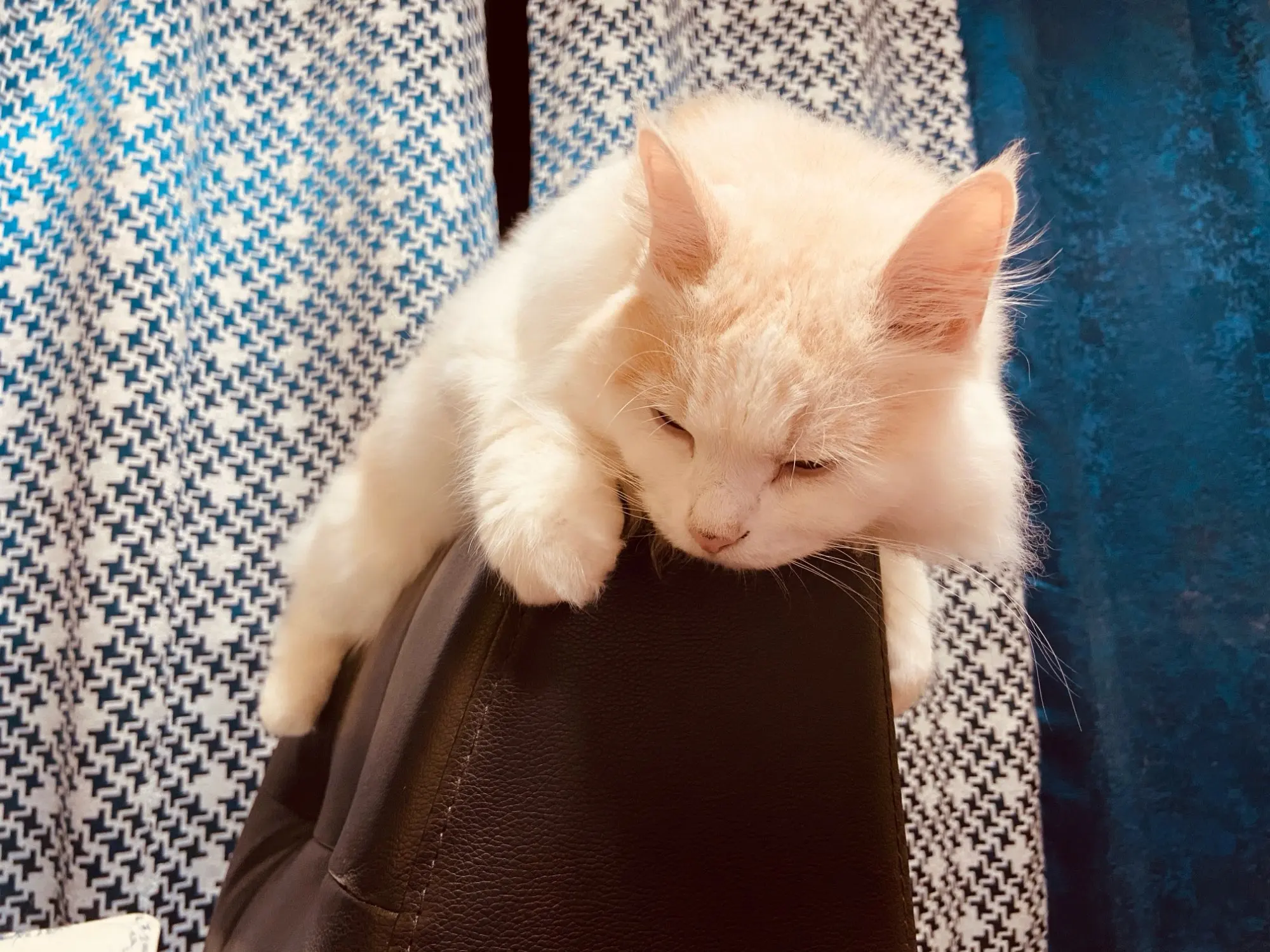 Trifold Makeup Mirror LED Lights Dorm Dressing Mirror Beauty Light up your fill light with Smart Complementary photo review