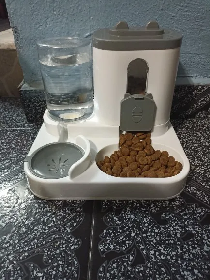 Automatic Feeder Dog Cat Food Bowl With Water Fountain Large Capacity Pet Food Storage Dispenser Container Puppy Pet Accessories