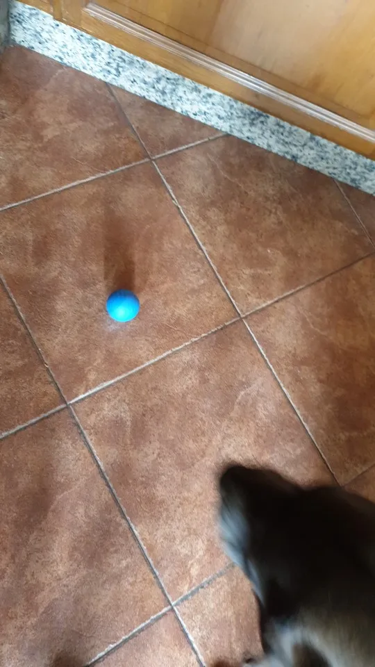 Pelota Inteligente con Movimiento Automático y Luces LED para Gatos y Perros