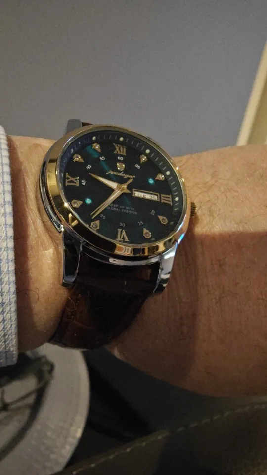 POEDAGAR Luxury Man Wristwatch photo review