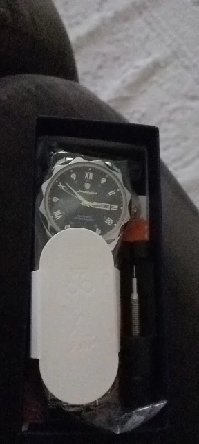 POEDAGAR Top Luxury Men Quartz Watch Waterproof Luminous Stainless Steel photo review