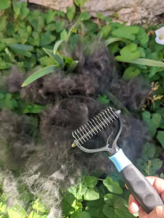 Professional Pet Deshedding Brush photo review
